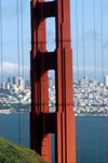 City Insider's Tour & Alcatraz