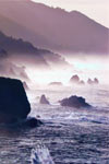 Monterey & Carmel Full Day Tour