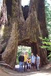 Yosemite Full Day Tour